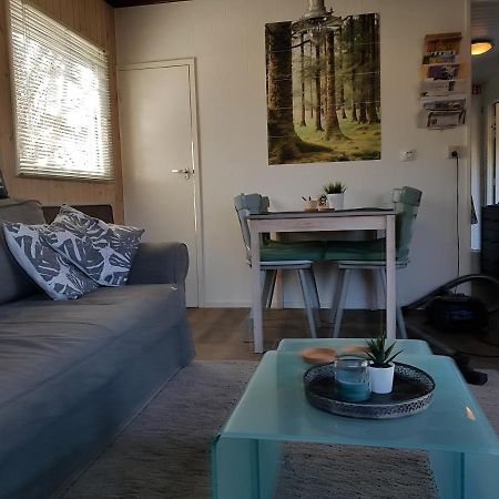 Chalet Gaasterland Bos-Ijsselmeer 4 Pers. Rijs Ngoại thất bức ảnh
